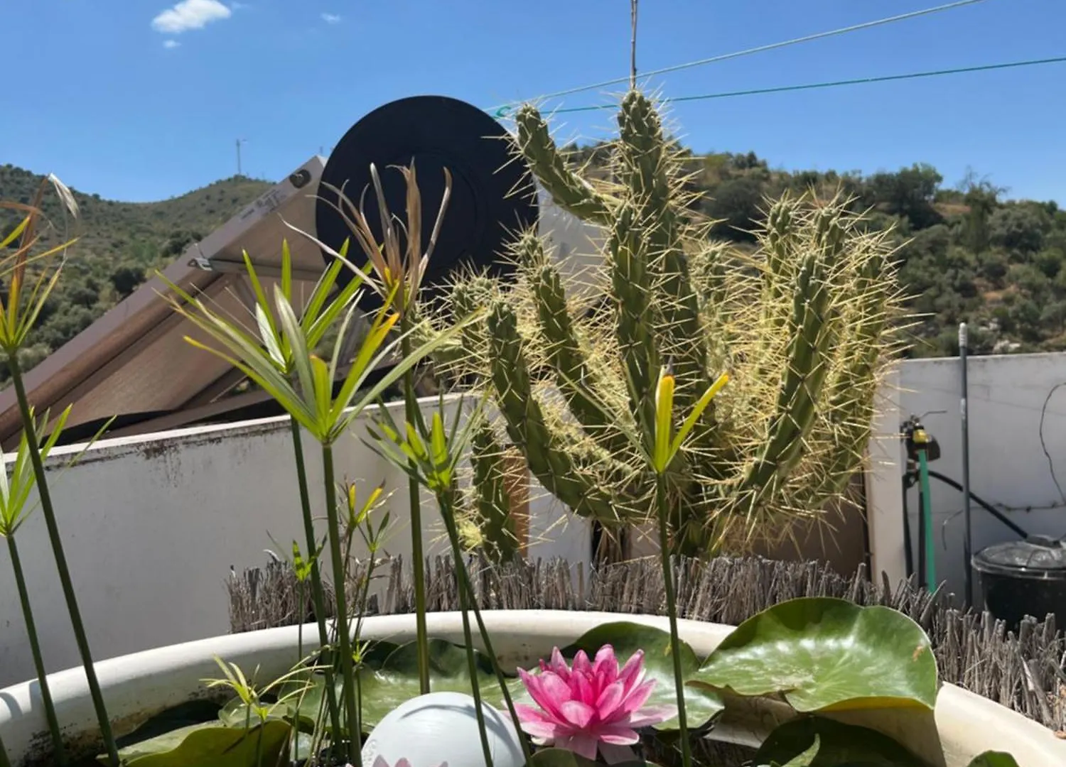 Ferienhaus La Bermeja, Alojamiento Completo, Terraza Con Banera Y Vistas Panoramicas Casabermeja